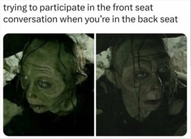 Truthful Memes (18 pics)