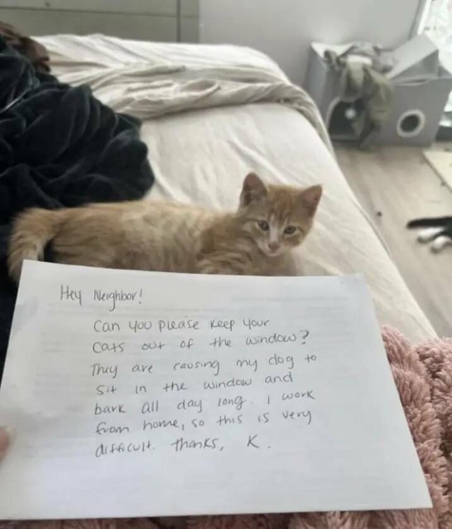 Annoying People (19 pics)
