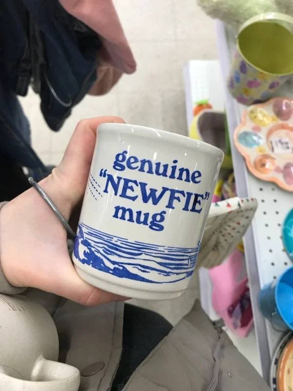 Odd Finds In Thrift Shops (30 pics)