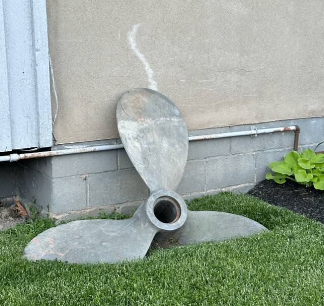 Interesting Finds (20 pics)