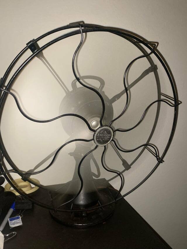Interesting Finds (20 pics)