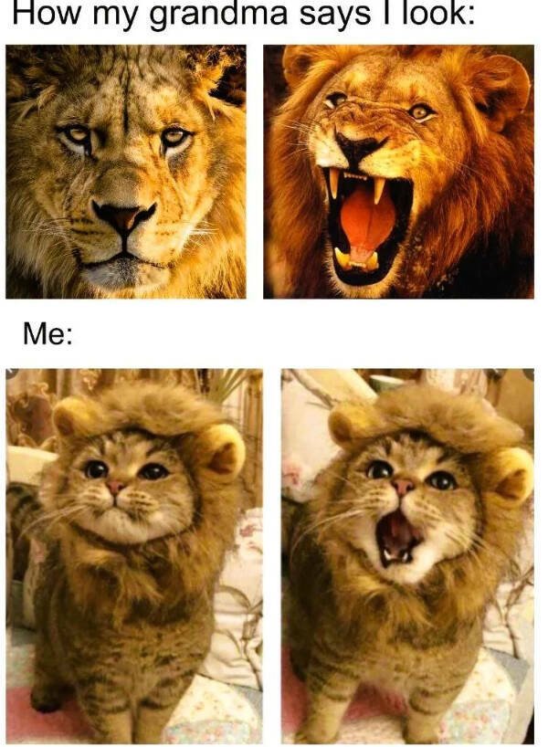 Kind Jokes (15 pics)