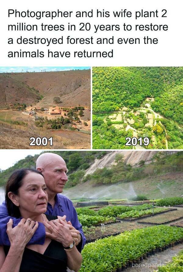 Life Is Beautiful (16 pics)
