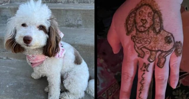 Expectations Against Reality (22 pics)