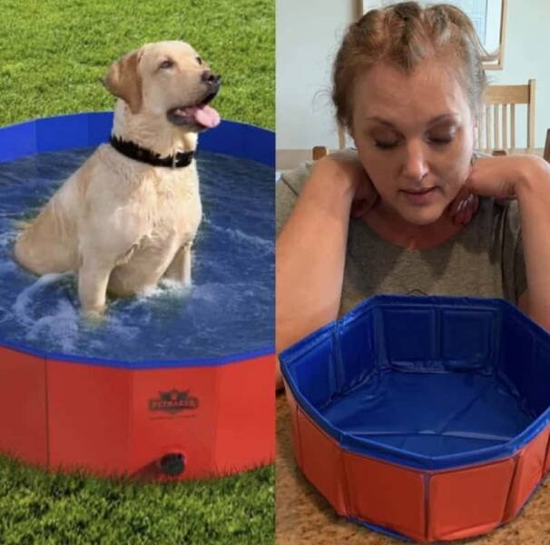Expectations Against Reality (22 pics)