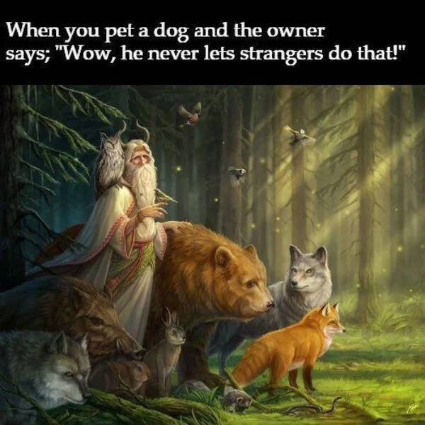 Kind Jokes (15 pics)