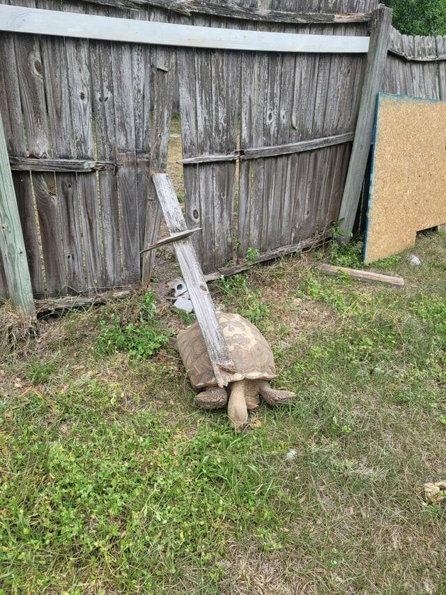 Interesting Finds (20 pics)