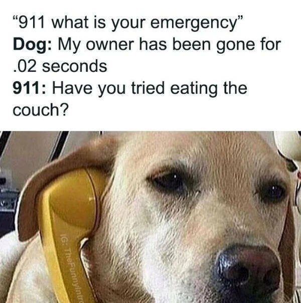 Kind Jokes (15 pics)