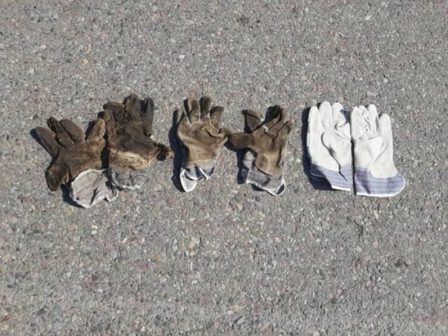 Interesting Finds (20 pics)