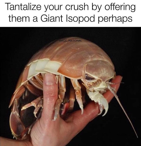Funny Memes (26 pics)