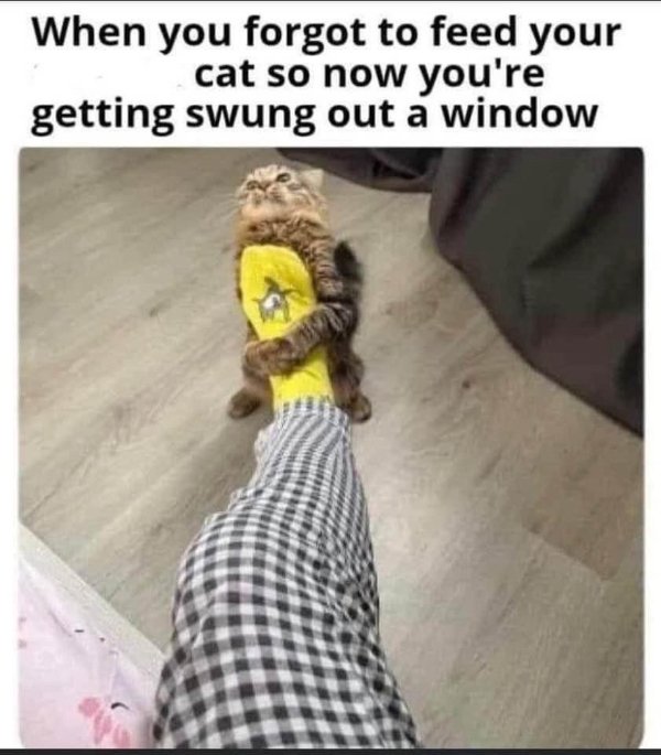 Funny Memes (26 pics)