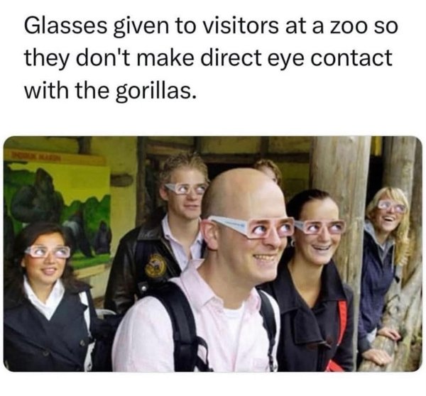 Funny Memes (26 pics)