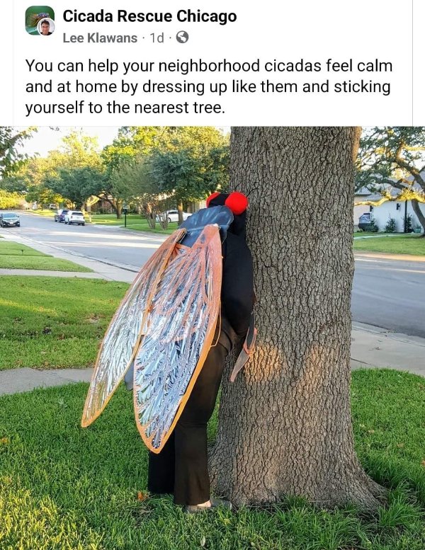 Funny Memes (26 pics)