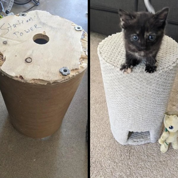 Cool Crafts From Unnecessary Things (29 pics)