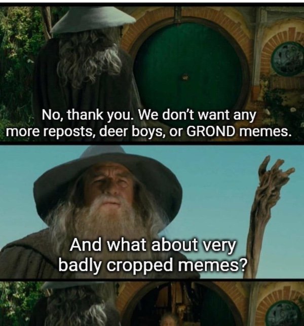 ''Lord Of The Rings'' Memes (35 pics)