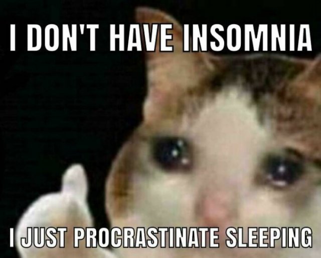 Memes About Procrastination (22 pics)