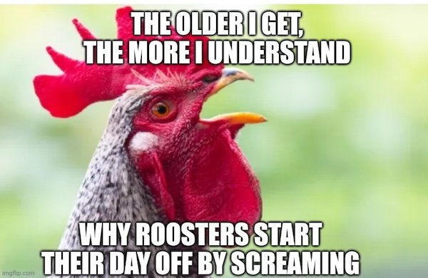 Memes About Aging (23 pics)