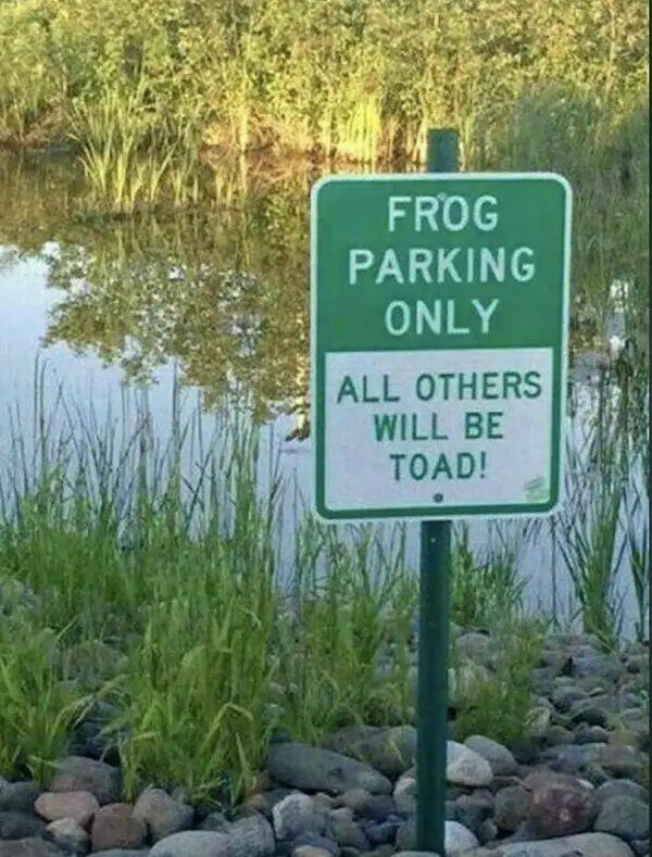 Funny Signs (13 pics)