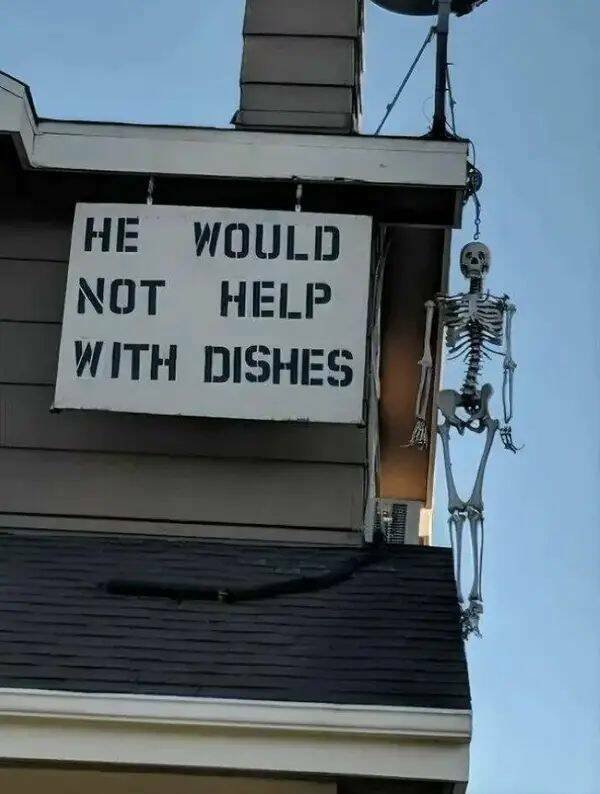 Funny Signs (13 pics)