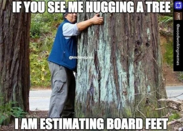 Memes About Woodworking (23 pics)
