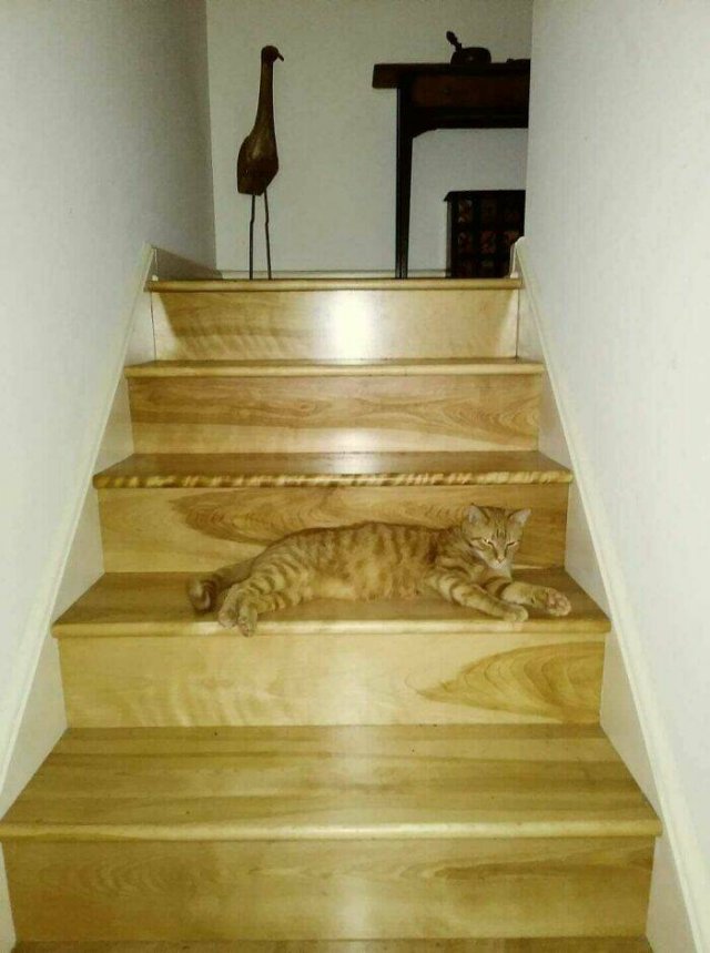 Weird Staircases (25 pics)