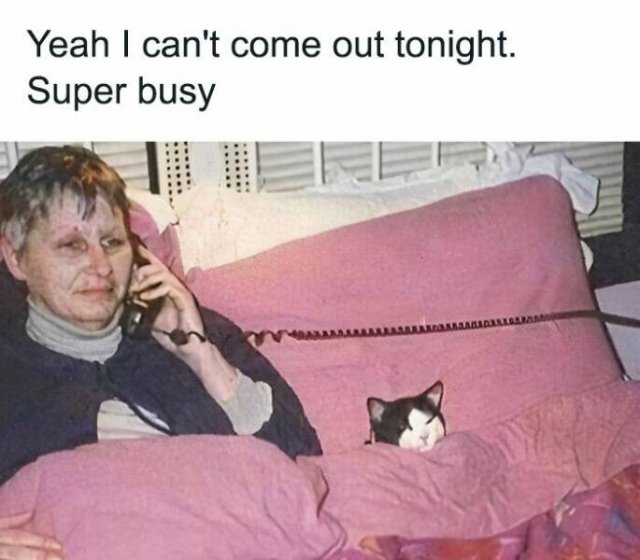 Memes For Introverts (22 pics)