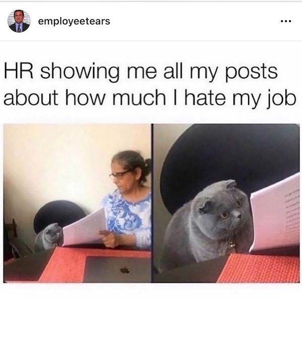 Work Memes (23 pics)