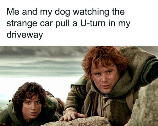 ''Lord Of The Rings'' Memes (23 pics)