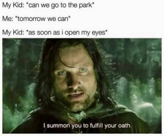 ''Lord Of The Rings'' Memes (23 pics)