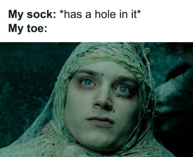 ''Lord Of The Rings'' Memes (23 pics)