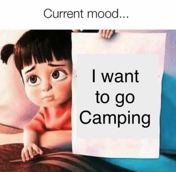 Memes About Camping (19 pics)