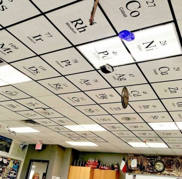 Unusual Finds In Schools And Universities (25 pics)