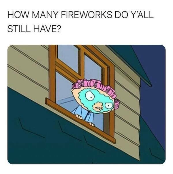 Fireworks Memes For Independence Day (22 pics)