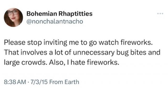 Fireworks Memes For Independence Day (22 pics)