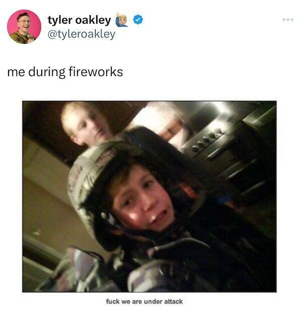 Fireworks Memes For Independence Day (22 pics)