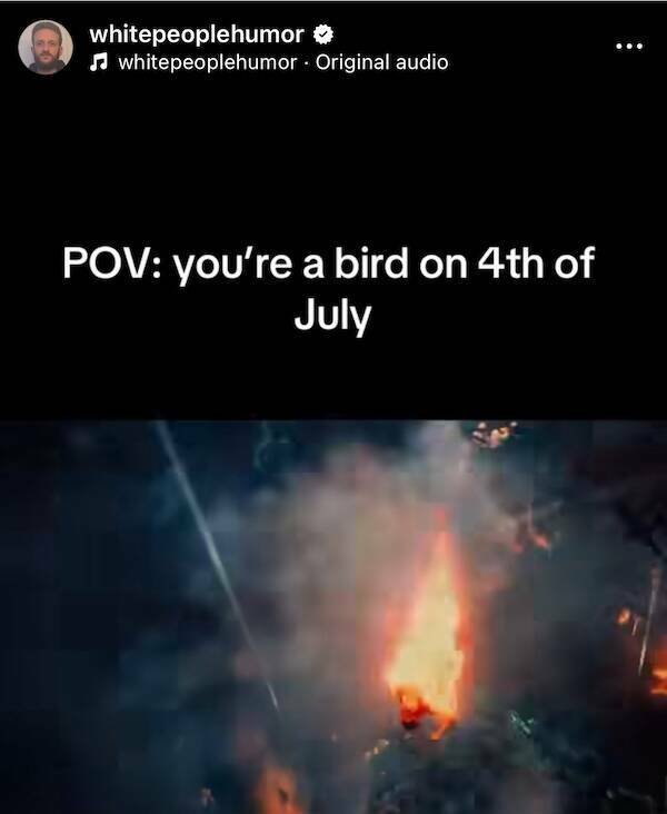 Fireworks Memes For Independence Day (22 pics)