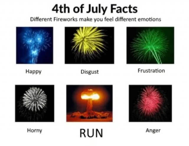 Fireworks Memes For Independence Day (22 pics)