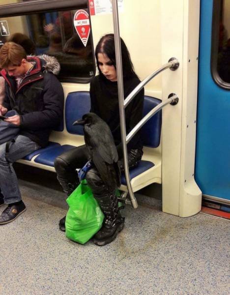 Strange People On Public Transport (20 pics)