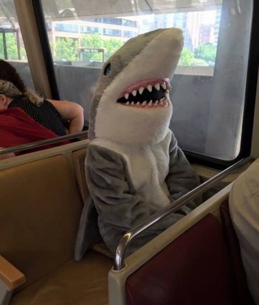 Strange People On Public Transport (20 pics)