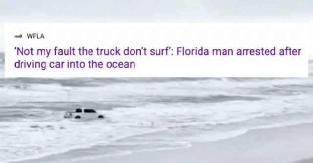 Strange Headlines From Florida (15 pics)