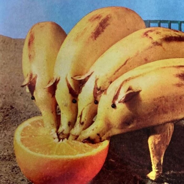 Weird Dishes From The Past (38 pics)