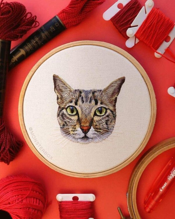 Cool Embroidery (28 pics)