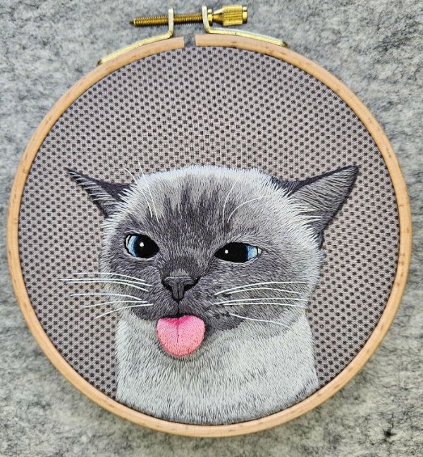 Cool Embroidery (28 pics)