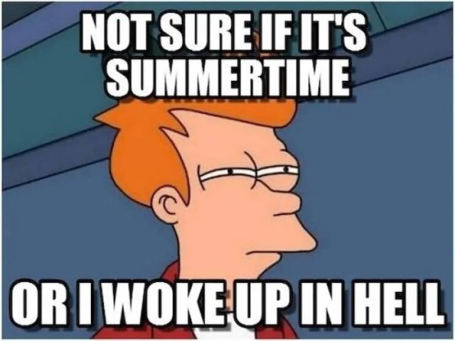 Memes About Summer (26 pics)