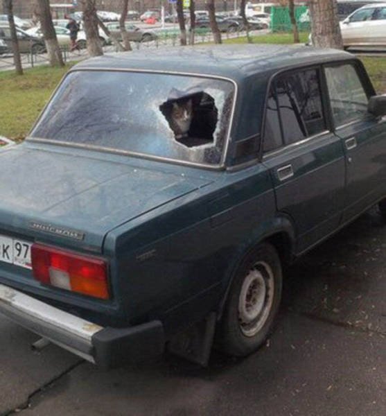 Strange Russians (30 pics)