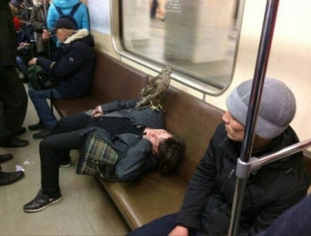 Strange People In The Subway (17 pics)