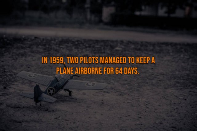 Interesting Facts (18 pics)