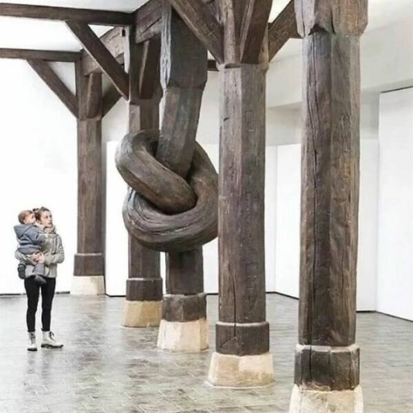 Amazing Woodworking (15 pics)