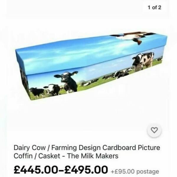Strange Products On The Internet (15 pics)