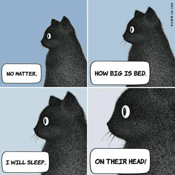 Truthful Memes (19 pics)